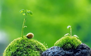 Bất tri bất giác chúng ta đã thay đổi